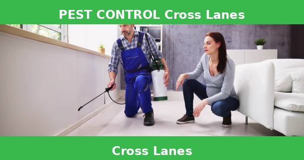 PEST CONTROL Cross Lanes